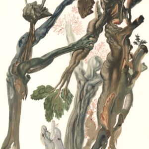 Inferno - Canto 13, THE FOREST OF THOSE WHO COMMITTED SUICIDE