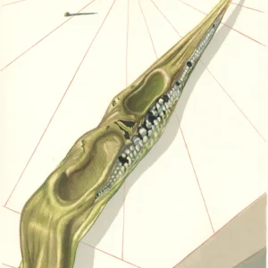 Inferno - Canto 14, BLASPHEMERS